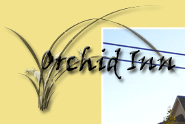 Visit the Orchid Inn Website